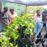 Breaking Barriers: Youth Education and Women’s Leadership in Combating Climate Change